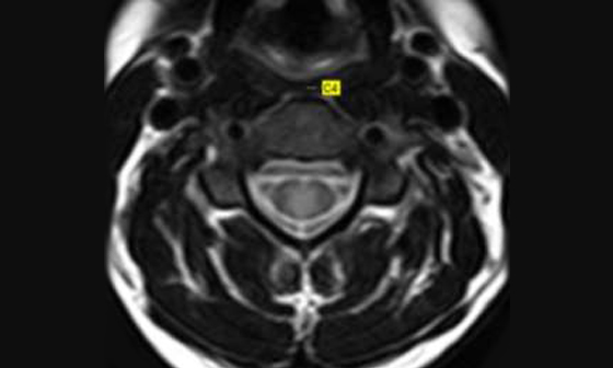 Star Imaging and Research Centre Medical case list